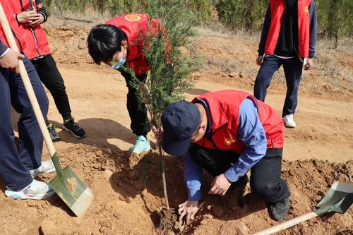 3.副校長王宏亮和同學們一起植樹