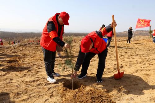 2栽下一棵小樹苗